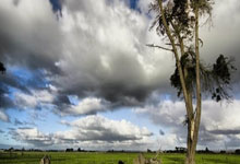 库里，西亚卡姆，绝杀战胜！